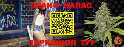 тгк Дубна